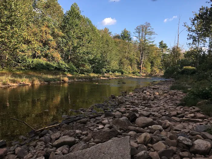 Grassmere Park Campground 6