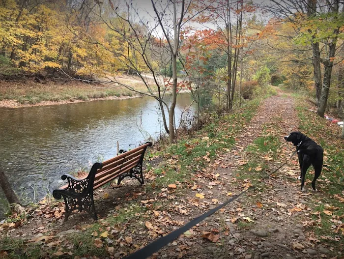 Grassmere Park Campground 1