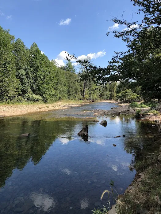 Grassmere Park Campground 8