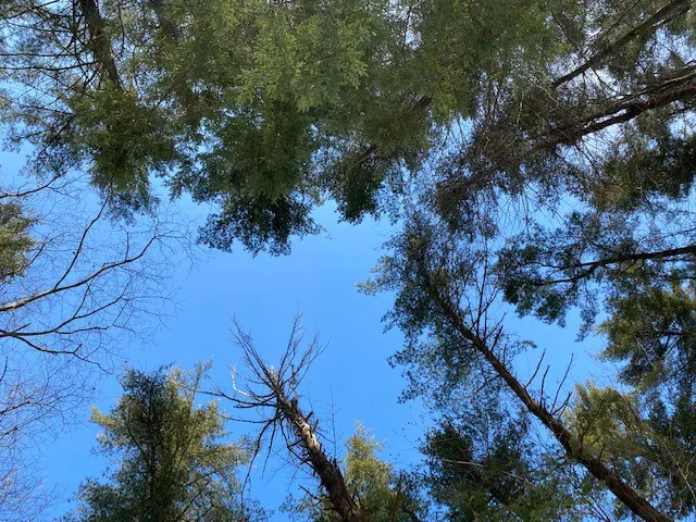 Grassmere Park Campground 5