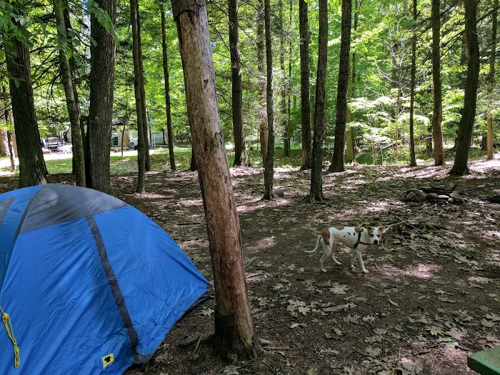 Grassmere Park Campground 7