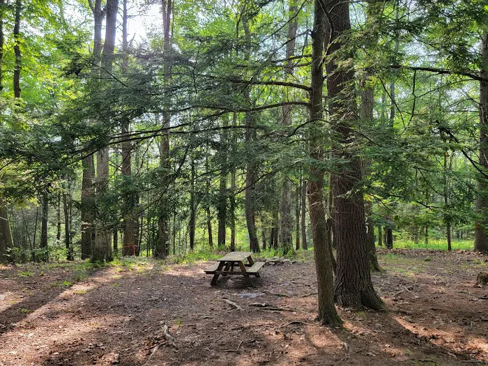 Red Rock Mountain Campground 6