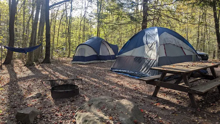 Big Loop Campground 4
