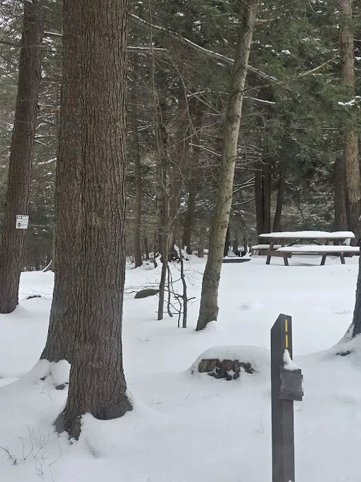 Big Loop Campground 8