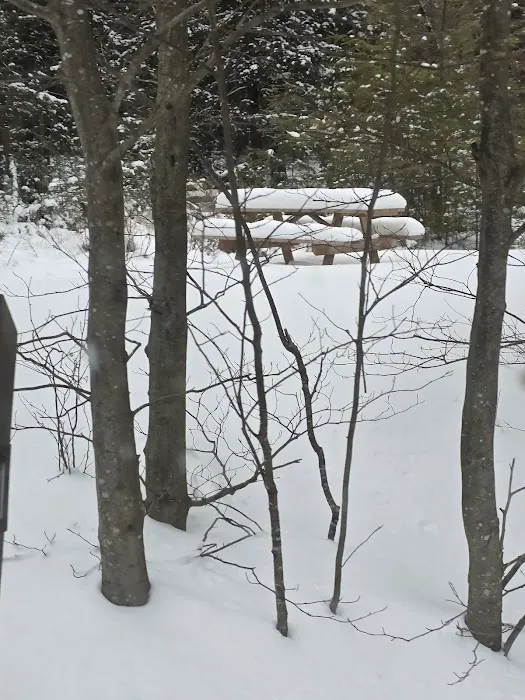 Big Loop Campground 5