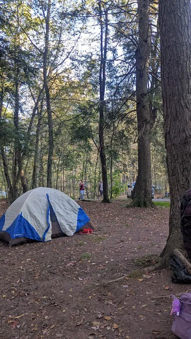 Big Loop Campground 2