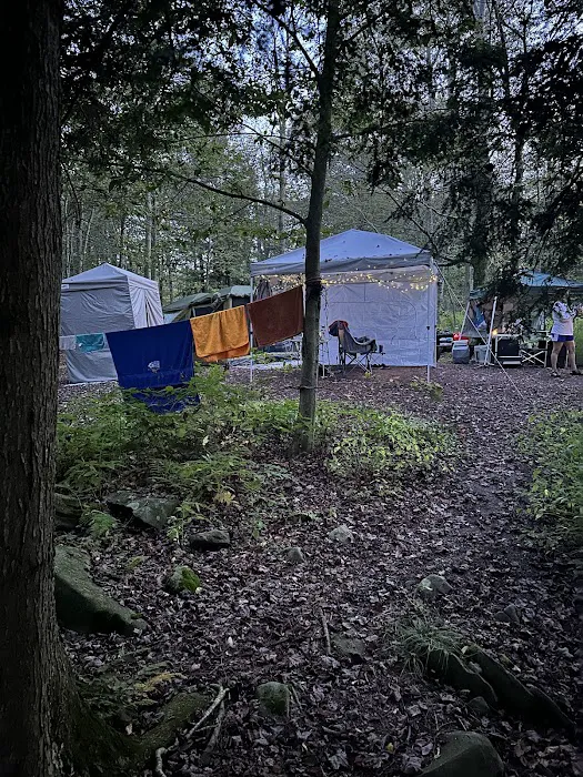 Big Loop Campground 9