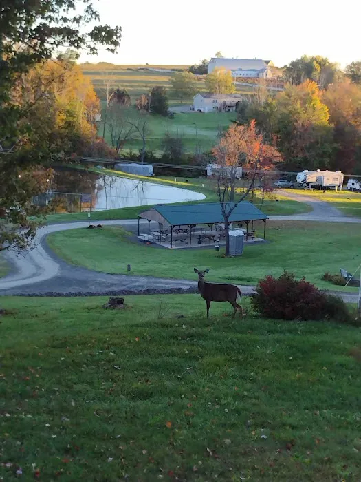 Stony Mountain Family Campground 2