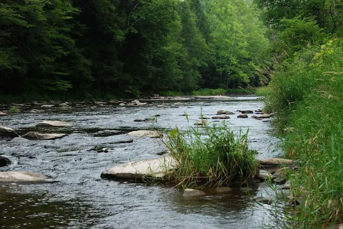 Slumber Valley Campground 5