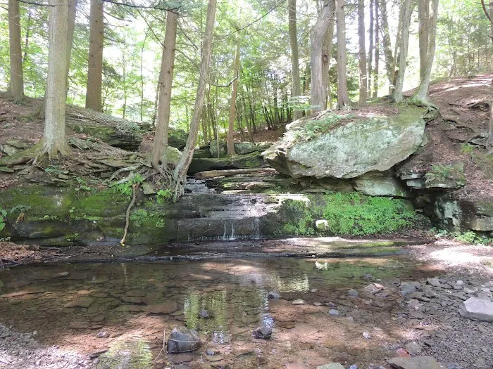 Slumber Valley Campground 9