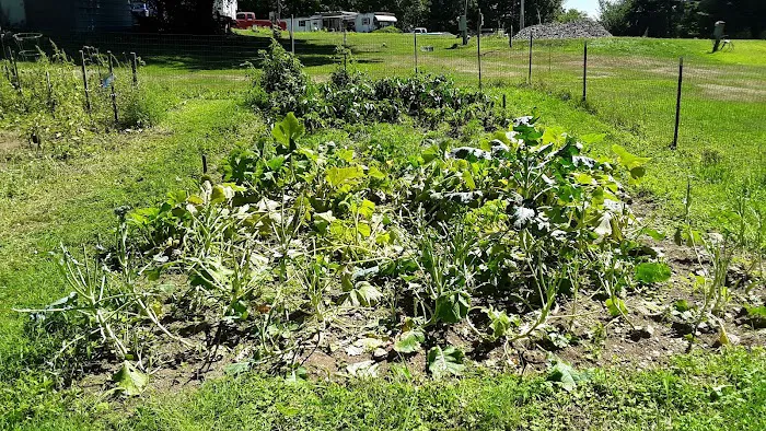 Tall Timbers Village 9