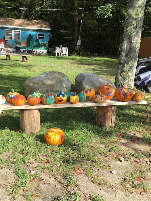 White Pines Campsites 3