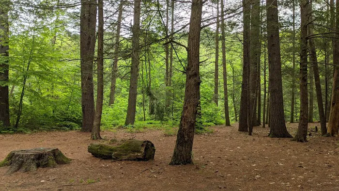 Austin Hawes Campground 3