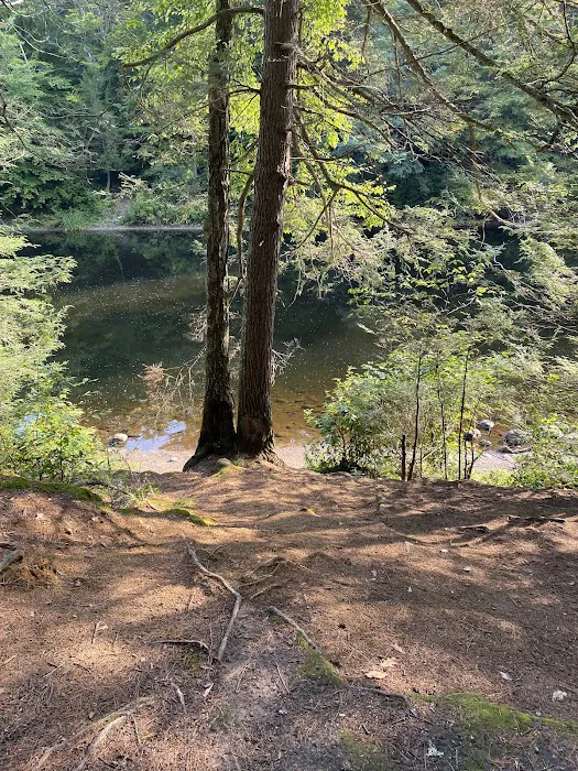 Austin Hawes Campground 8