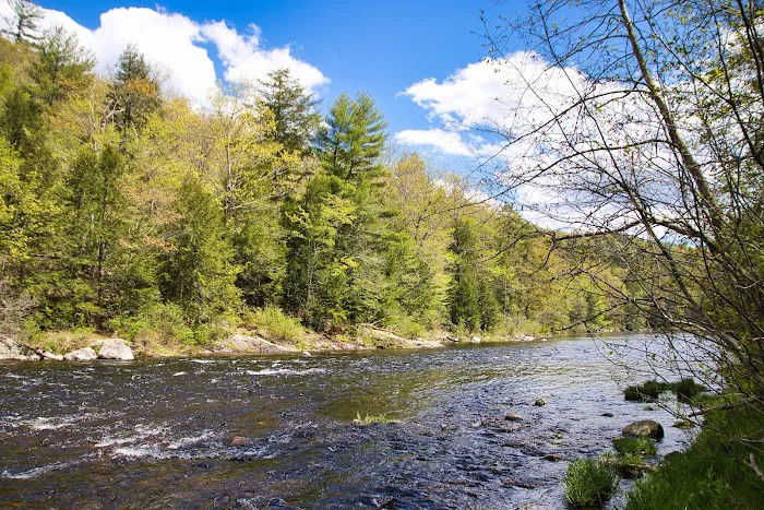 Austin Hawes Campground 5