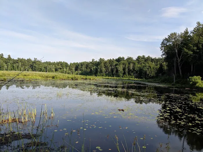 Ukrainian Campground 2