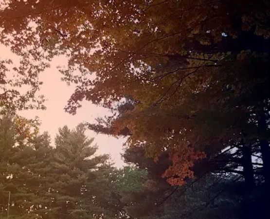 Advent Christian Campground