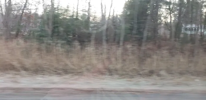 Apple Valley Village 1