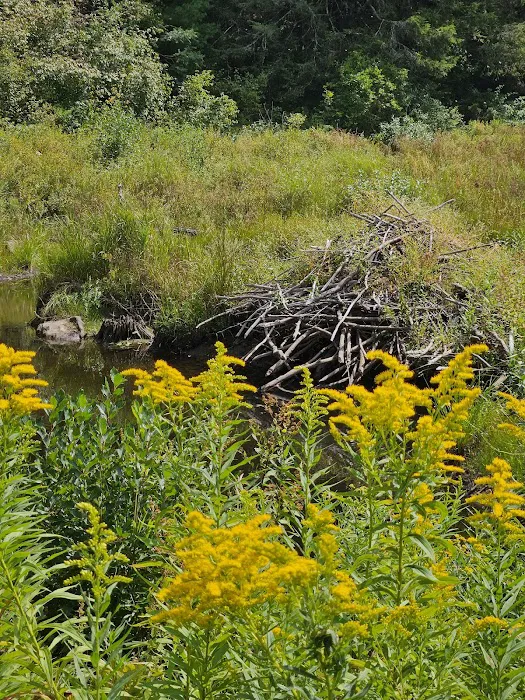 Beartown State Forest Park Entrance 0