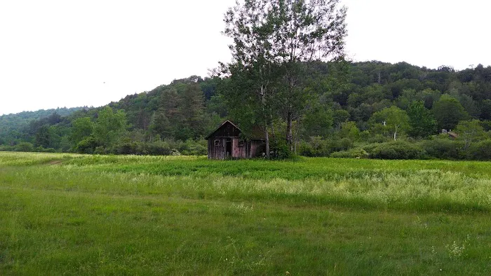 Mountain View Campground 0