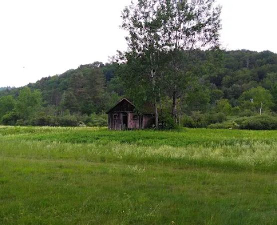 Mountain View Campground