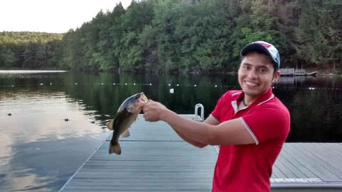 Mountain View Campground 1