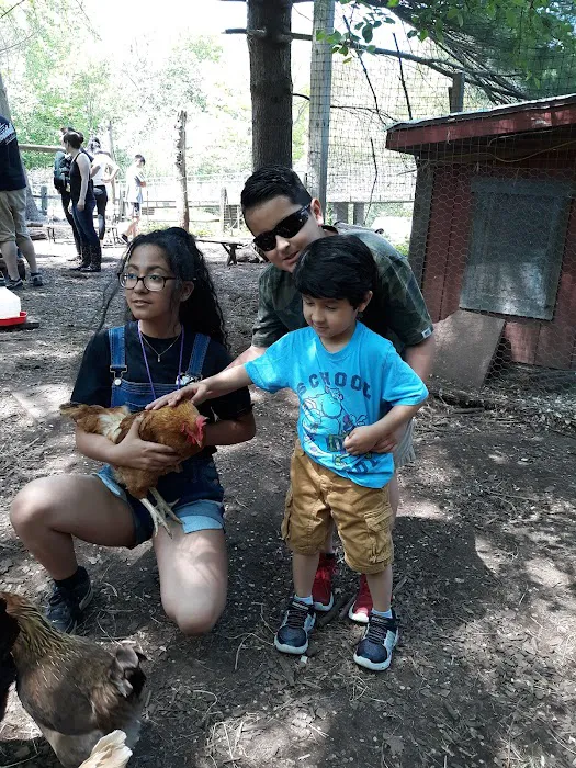 Common Ground Summer Camp 9