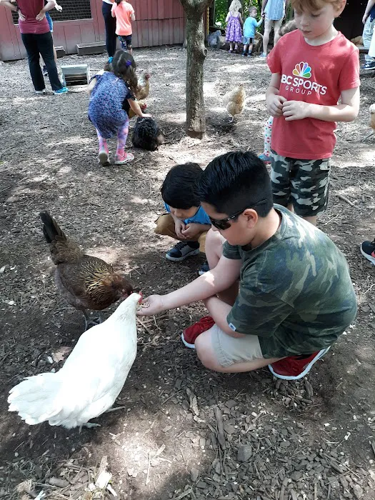 Common Ground Summer Camp 6