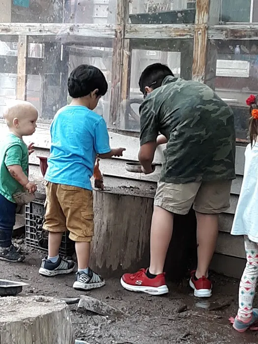 Common Ground Summer Camp 3