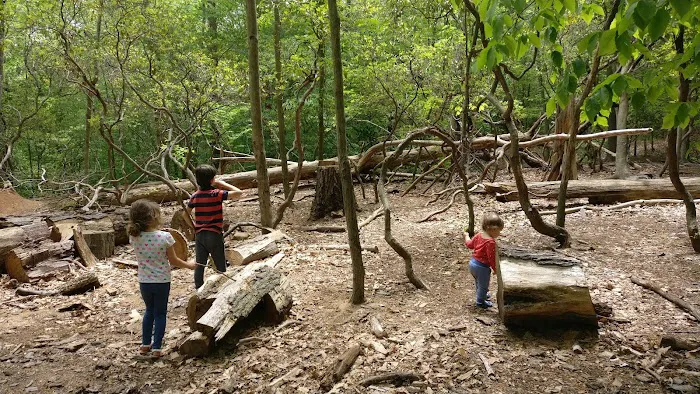 Common Ground Summer Camp 7