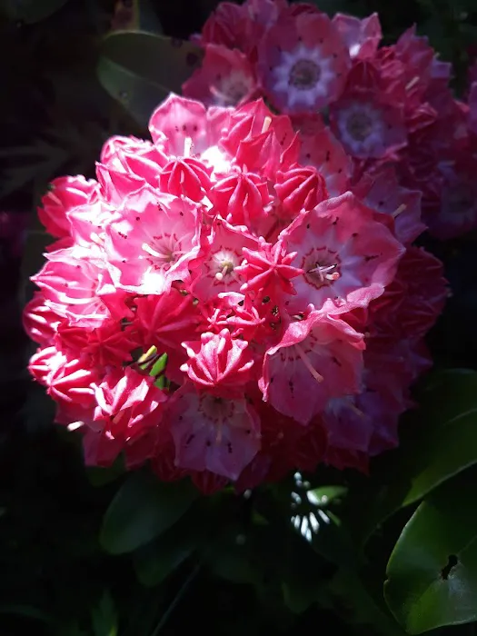 Common Ground Summer Camp 2