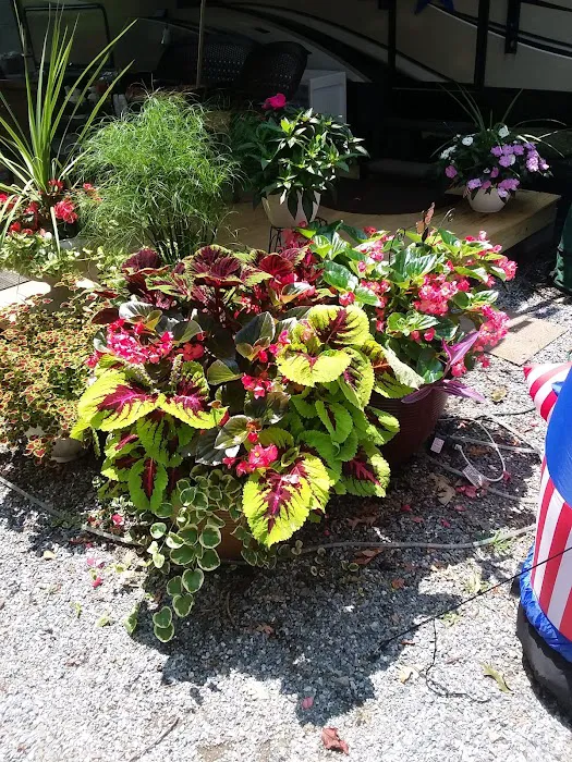 Oma's Family Campground 1