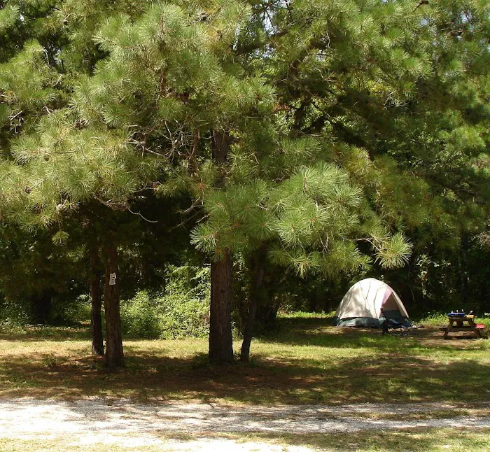 Adventure Bound Camping Resorts - Cape May 7