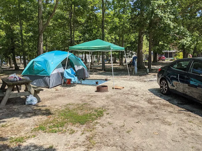 Shellbay Campground 2