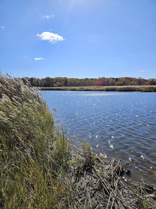 Old Stagecoach Campground 4