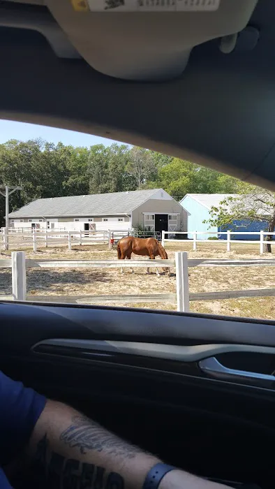 Old Stagecoach Campground 7