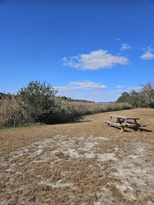 Old Stagecoach Campground 3