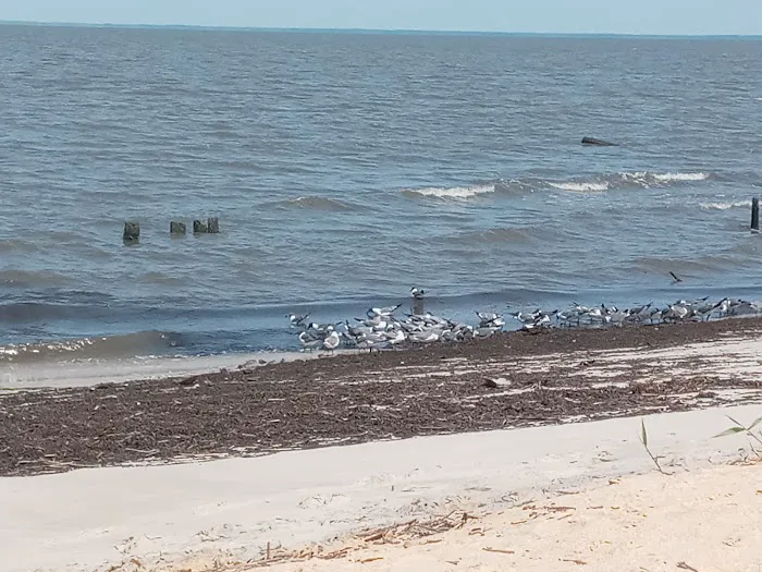 King Nummy Trail Campground 9