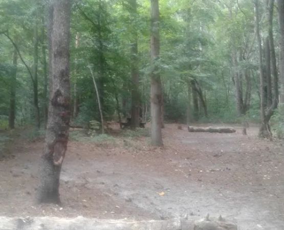 Killens Pond State Park Campground Entrance