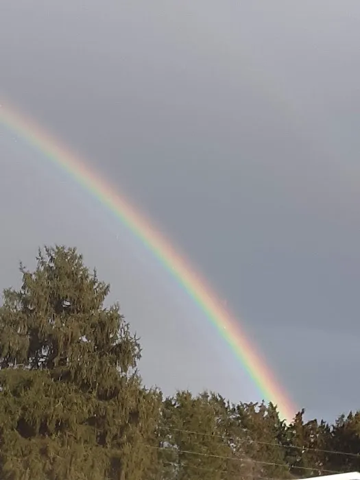 Holly Hill Estates 6