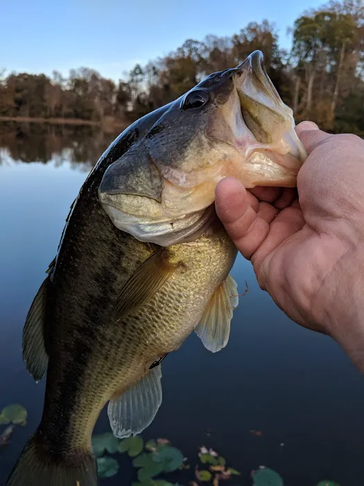 Indian Acres 3-349 4