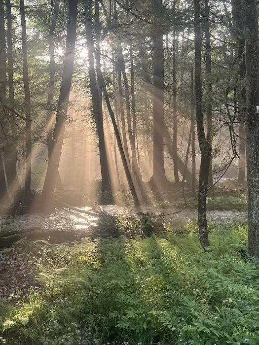 Hillside Campgrounds 9