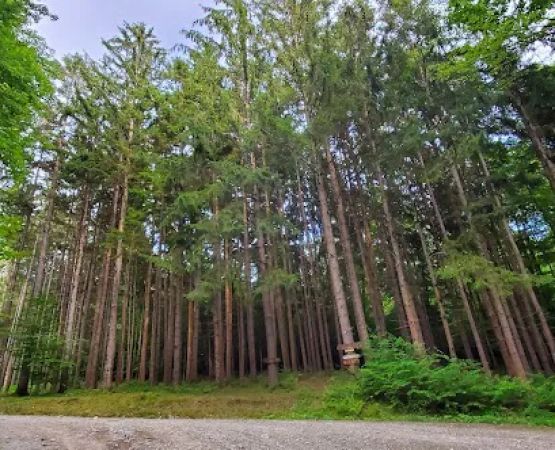 Oneida Campground & Lodge