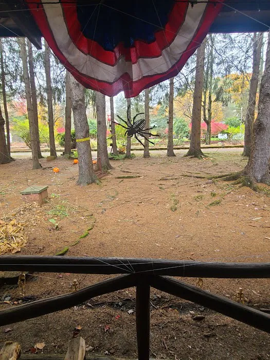 The Camp at East Lake 2