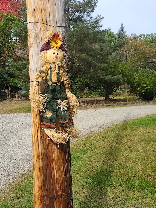 The Camp at East Lake 7