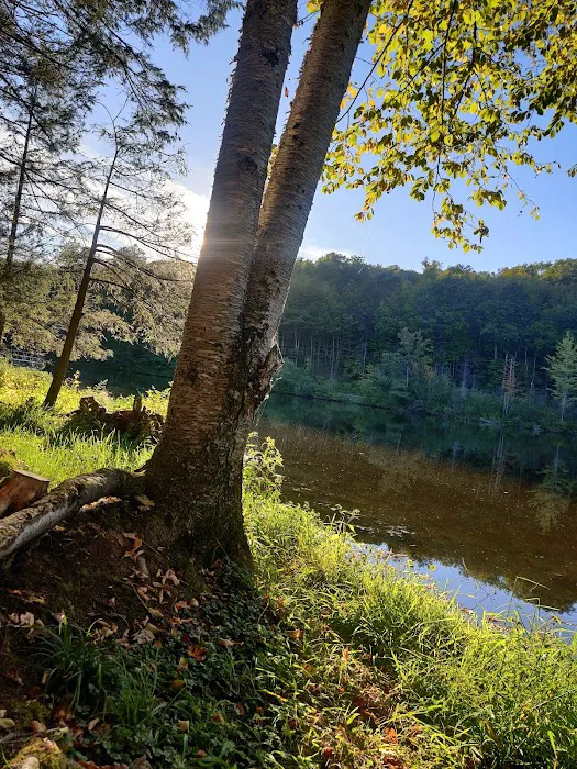 Lakeside Campground (Lakeside RV LLC) 2