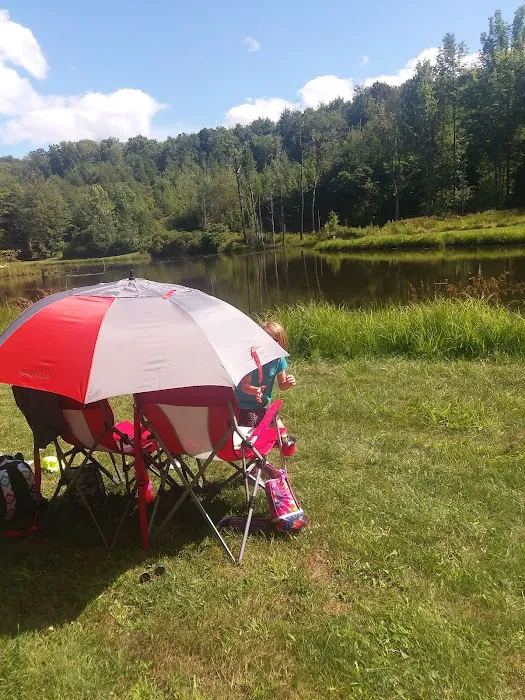 Montrose Campground 3