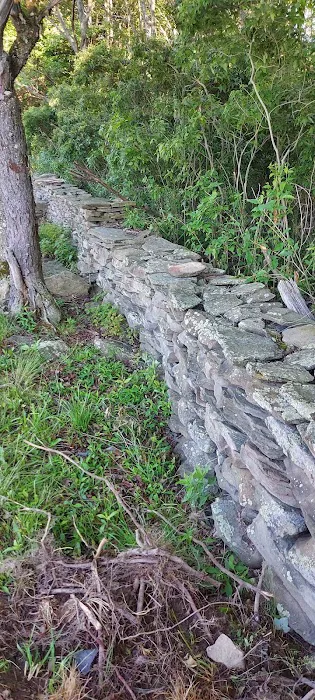 Montrose Campground 6