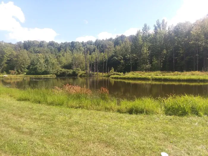 Montrose Campground 4