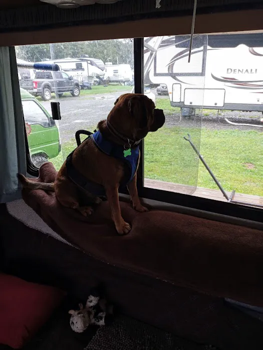 Montrose Campground 8